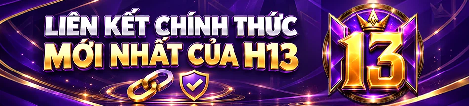 H13 Banner